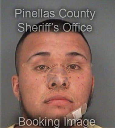 Oscar Lucasochoa, - Pinellas County, FL 