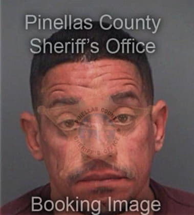 Adan Martinez, - Pinellas County, FL 