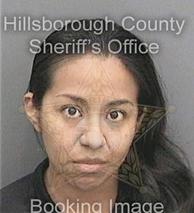 Amy Menendez - Hillsborough County, FL 