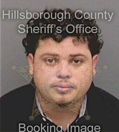 David Whitt - Hillsborough County, FL 