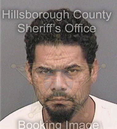 Felix Garciadiaz, - Hillsborough County, FL 