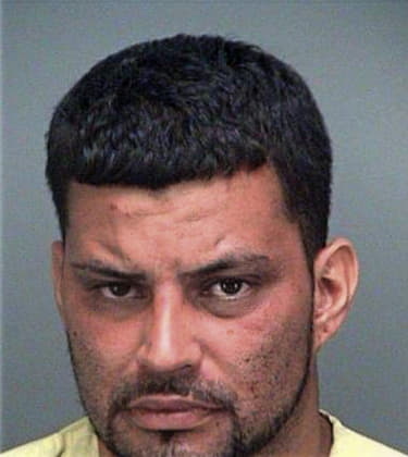 Edwardo Hernandezgonzalez, - Pinellas County, FL 