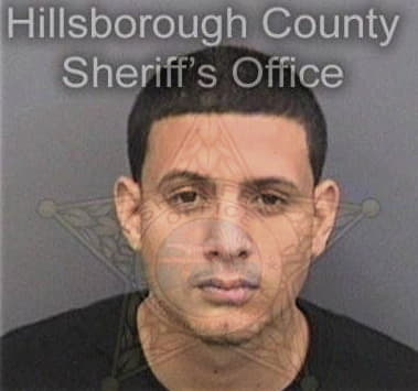 Justin Smith, - Hillsborough County, FL 