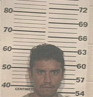 Faustino Torres, - Hidalgo County, TX 