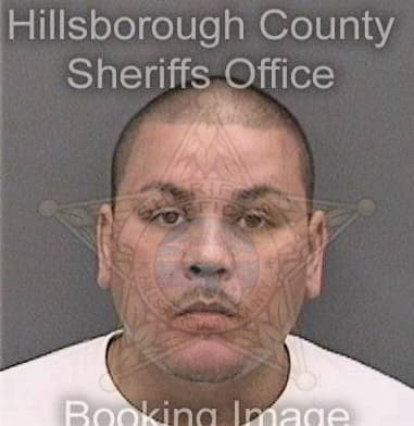 Robert Brown, - Hillsborough County, FL 