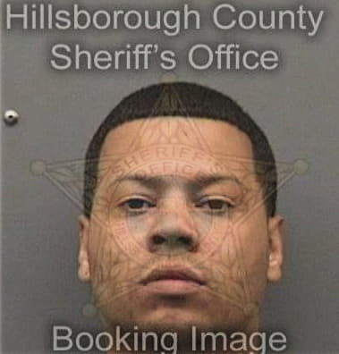 Javier Cruzsosa, - Hillsborough County, FL 