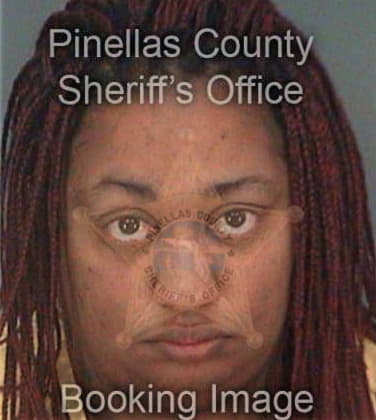 Shayne Jenkins, - Pinellas County, FL 