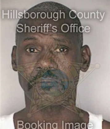 Michael Mitchell - Hillsborough County, FL 