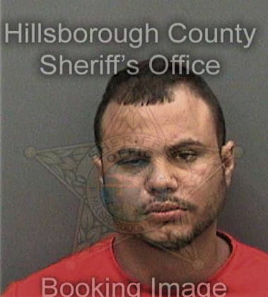 Javier Molina, - Hillsborough County, FL 