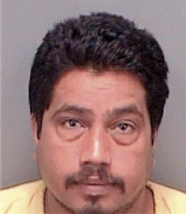 Sergio Ordunahuerta, - Pinellas County, FL 