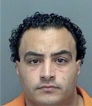 Luis Torreshuapilla, - Pinellas County, FL 