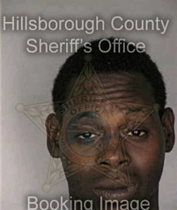 Trayhern Bryson, - Hillsborough County, FL 