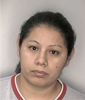 Leslie Flores, - Hillsborough County, FL 