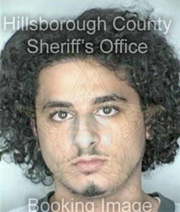 Timothy Grigsbay, - Hillsborough County, FL 