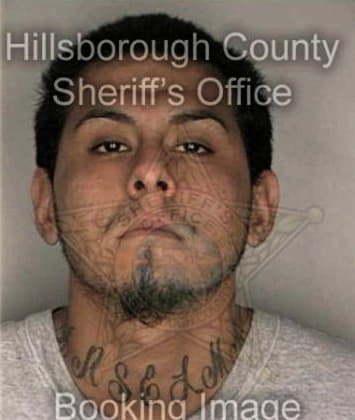 Edwin Huertas, - Hillsborough County, FL 