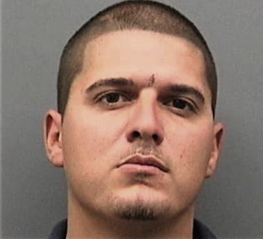 Reinier Perezledsma, - Hillsborough County, FL 