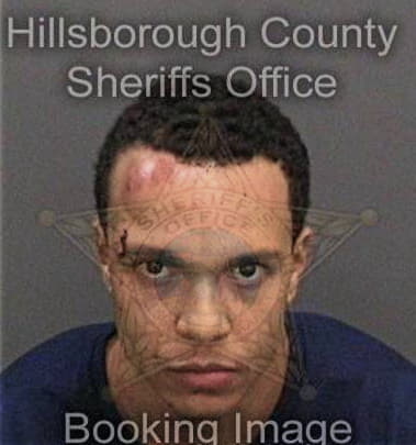 Jamel Platt, - Hillsborough County, FL 