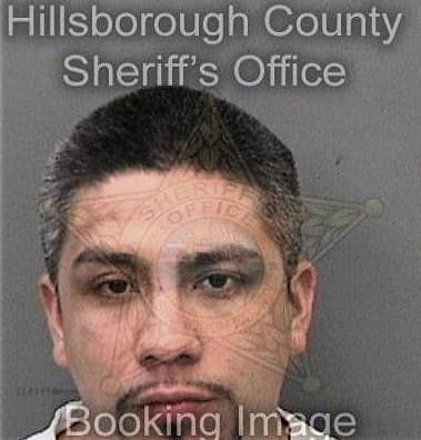 Noel Reynososaucedo, - Hillsborough County, FL 