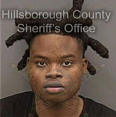 Antonio Watkins, - Hillsborough County, FL 