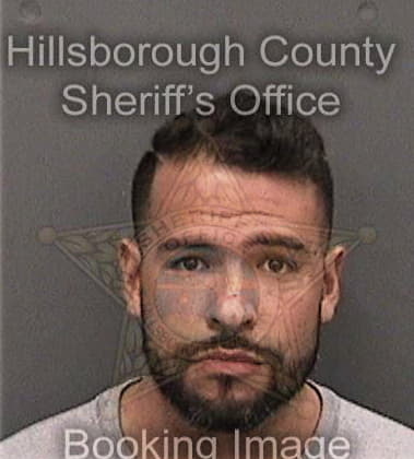 James Carnley, - Hillsborough County, FL 