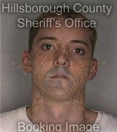 Raul Charbonier - Hillsborough County, FL 