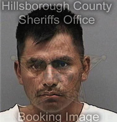 Shane Pepperman, - Hillsborough County, FL 