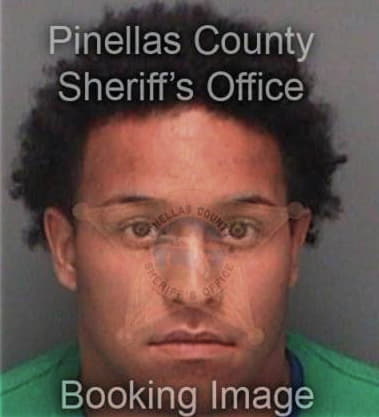 Hugo Reza, - Pinellas County, FL 