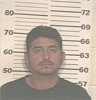 Alfredo Saldana, - Hidalgo County, TX 