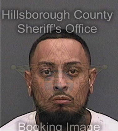 Richard Siebenthal, - Hillsborough County, FL 