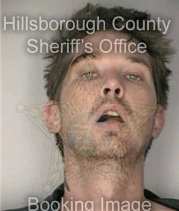 Steven William - Hillsborough County, FL 