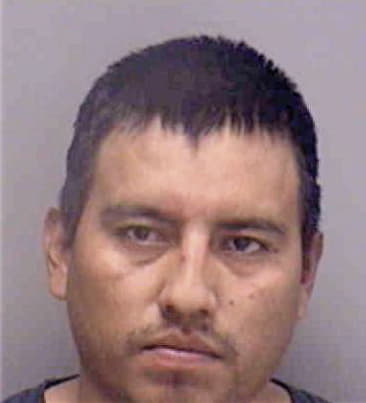 Ricardo Arenas, - Lee County, FL 