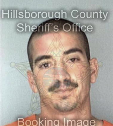 Ruben Benejan, - Hillsborough County, FL 