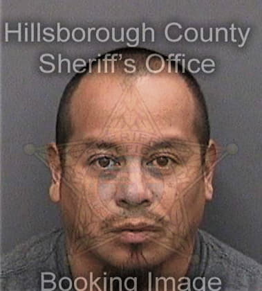 Gabriel Delgado-Nunez, - Hillsborough County, FL 