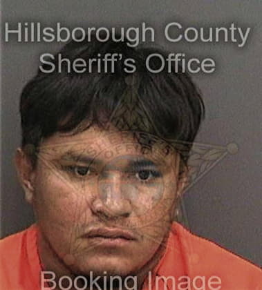 Michael Horan, - Hillsborough County, FL 