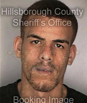 Michael Larocca, - Hillsborough County, FL 