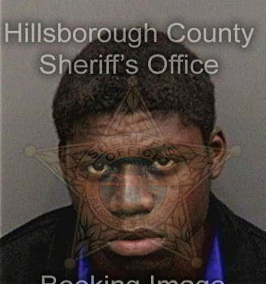 Vincent Lawson, - Hillsborough County, FL 