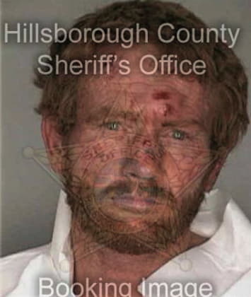 Michael Meadows - Hillsborough County, FL 