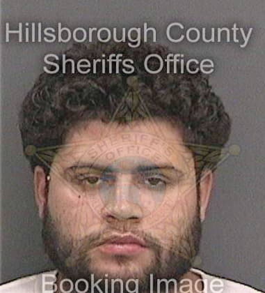 Francisco Morales, - Hillsborough County, FL 