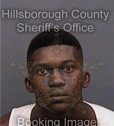 Anthony Patterson, - Hillsborough County, FL 