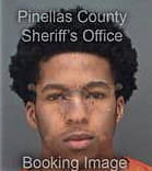 Derrick Rich, - Pinellas County, FL 