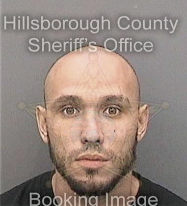 Michael Velez, - Hillsborough County, FL 