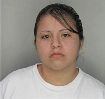 Amanda Bethel - Hillsborough County, FL 