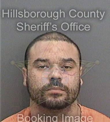 David Couchman, - Hillsborough County, FL 