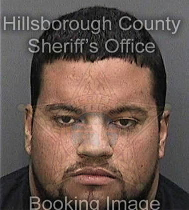 Christopher Howard, - Hillsborough County, FL 