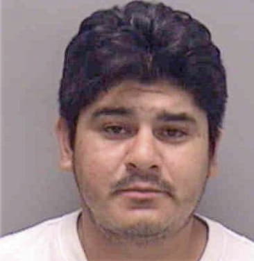 Francisco Mateo, - Lee County, FL 