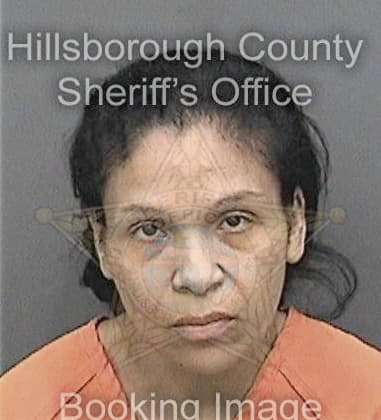 Erica Perez, - Hillsborough County, FL 