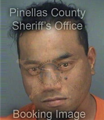 Manuel Ruiz, - Pinellas County, FL 