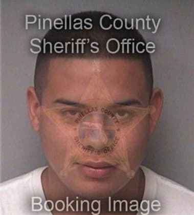 Julio Soto - Pinellas County, FL 