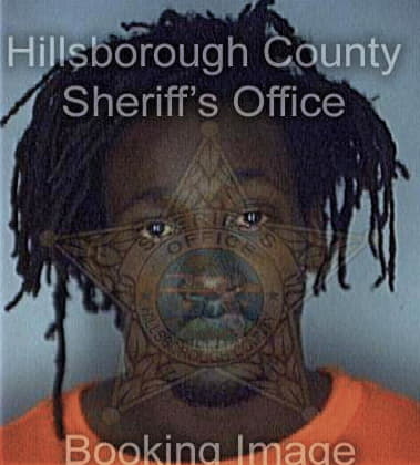 Alvin Williams - Hillsborough County, FL 