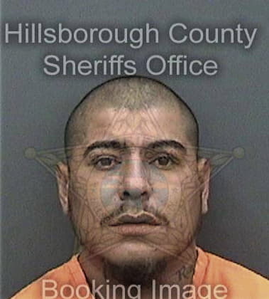 Ray Wisneski, - Hillsborough County, FL 